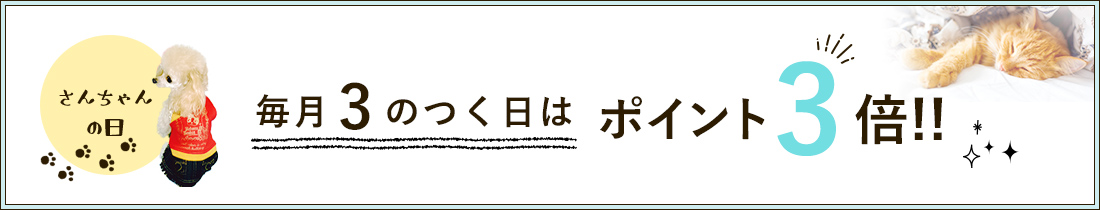 毎月3のつく日はポイント3倍